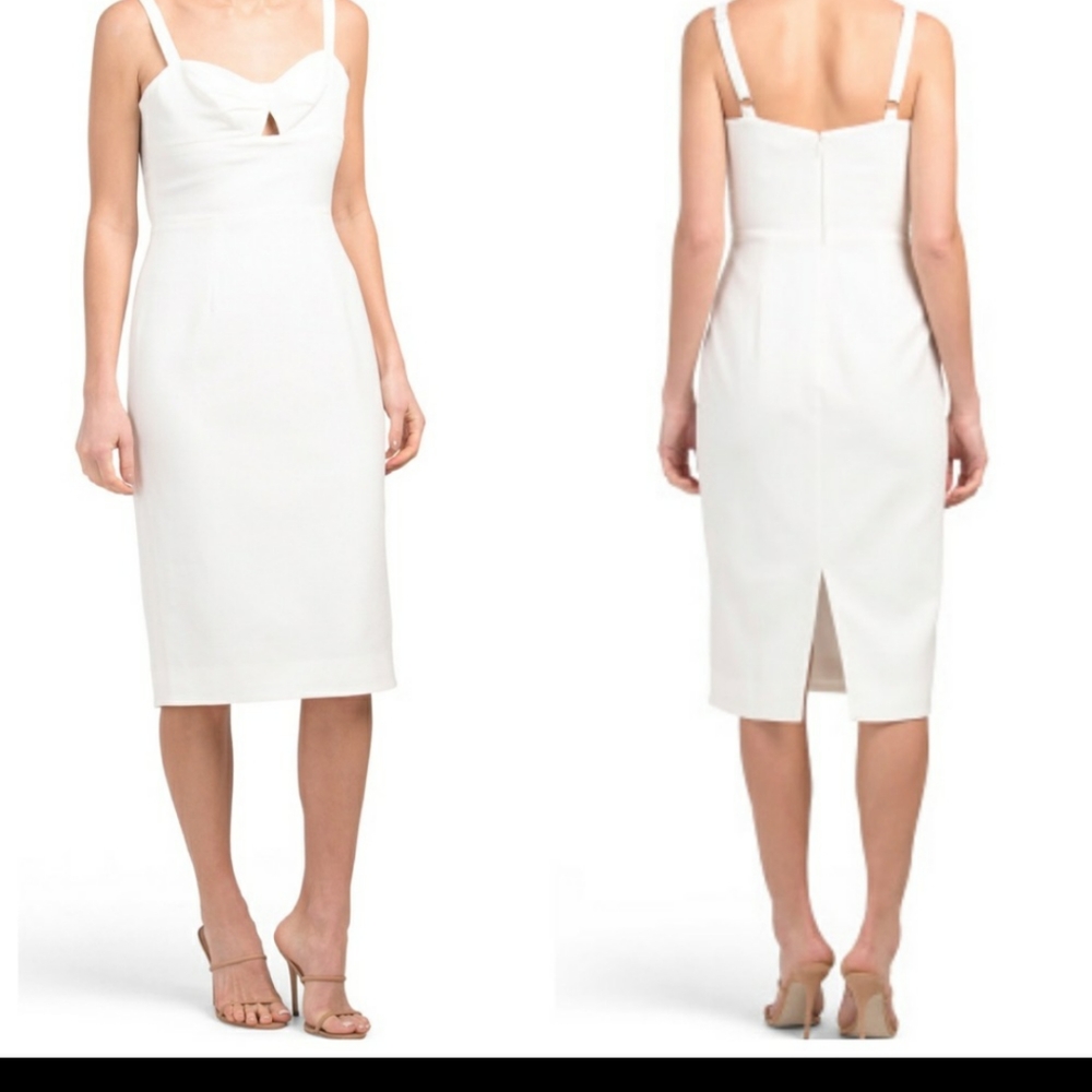 Dress The Population Bodycon Dress